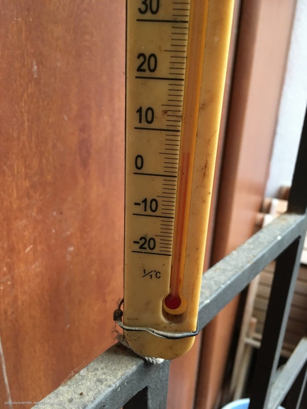 Temperatura exterior a las 17 horas. Patio Viviente, Azoz, Navarra. 5 de febrero de 2018